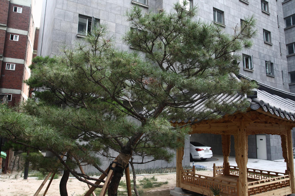 Hostel Fortune Jongno Seoul